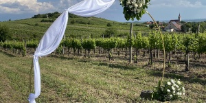 Aranynap vendégház Tállya