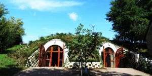 Hárs Családi Biopincészet  Szajk