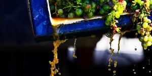 Bárdos és Fia Pincészet Nagyréde