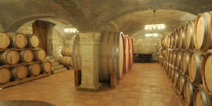 Varsányi Pincészet