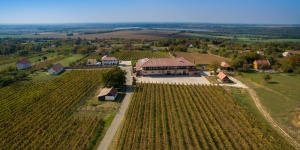 Ebner Pincészet és Panzió Mozsgó