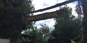 Horgony Tanya Darnózseli