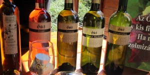 Ősi Anikó és Orsolya Pincészete