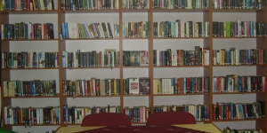 Szarvasgede, Könyvtári, Információs és Közösségi Hely