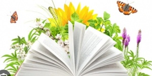 Községi Könyvtár Szorgalmatos