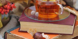 Adorjánháza Közösségi Színtér és Könyvtár