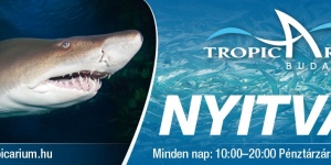 Tropicarium Budapest - Cápás állatkert