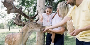 Festetics Imre Élményközpont Gyenesdiás