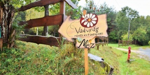 Vadvirág méhes- és gyógyítókert