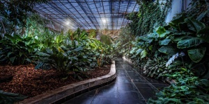 Trópusi Kert és Orchidea Farm Dobronak