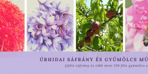 Úrhidai Sáfrány és Gyümölcs Múzeum