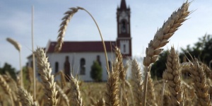 Falumúzeum Sóshartyán