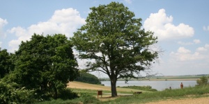 Hét Patak Gyöngye Natúrpark