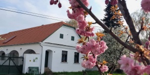 Fűszeres Porta Mihályfa