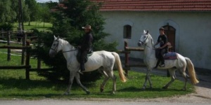 Szentgyörgyvári Lipicai Ménes Lovastanya Szentgyörgyvár