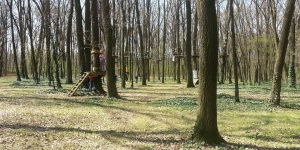 Kerekerdő Kalandpark Kerekegyháza