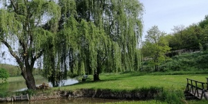 Erdősmároki Horgásztó