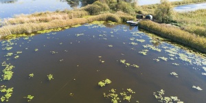 Green Heaven Lake Hahót