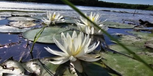 Hidegvölgyi Horgásztanya Semjén