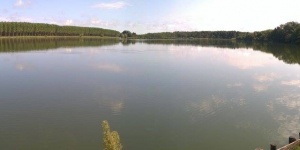 Rinyaszentkirályi  Horgásztó