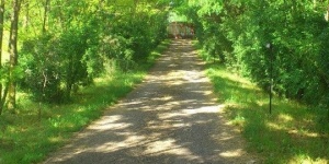 Vicka Tanya Rábaszentandrás