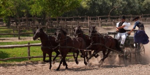 Bakodpusztai Lovascentrum