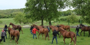 Lóska János Magánménese