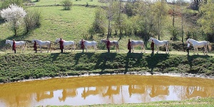 Kassai Lovasíjász Iskola Kaposmérő