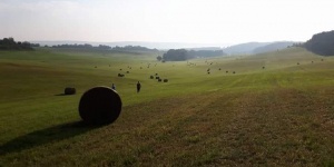 Kéri Birtok Váckisújfalu