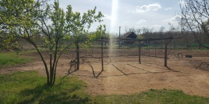 Nemeserdő Lovastanya és Vendégház Kállósemjén