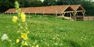 Zöldág Lovasudvar Olaszfalu