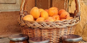 Gyümölcsműhely Döbröce