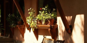 Bűbáj Birtok Ásotthalom