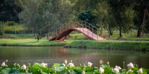 Gálffy Birtok Bogád