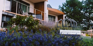 Cserszegi Kockák Cserszegtomaj