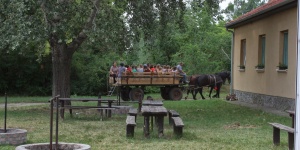 Pelikán-ház Erdei Iskola Seregélyes