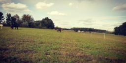 Ádám Család Lovastanyája Rajka