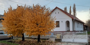 Anikó Vendégház Miklósi