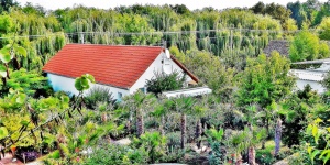 Kovács-Gressly Pince, Vendégház, Pálmakert