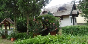 Csalogány Tábor és Erdei Iskola