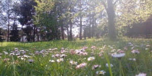 Fecskefészek Tábor és Vendégház