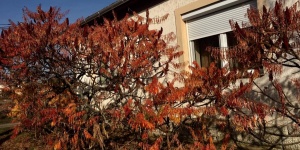 Éva Vendégház Sarud