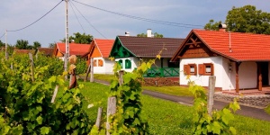 Patóhegyi Borházfalu