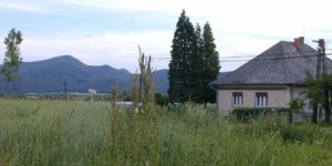 Vadvirág Vendégház Vilyvitány